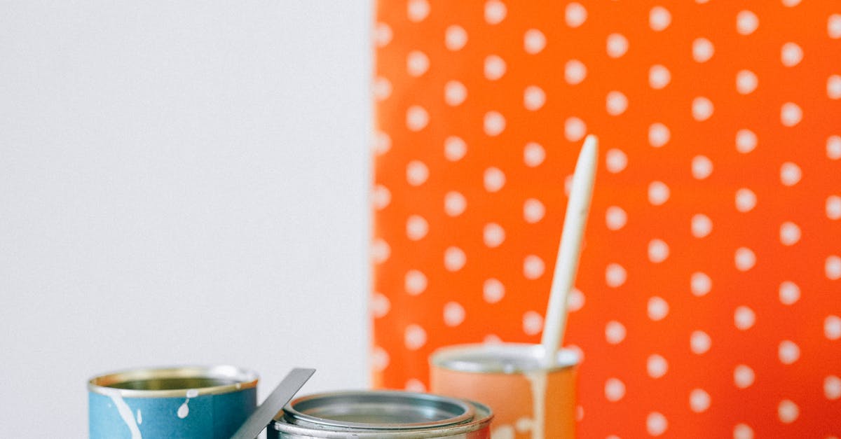 Balancing Hardscaping and Softscaping in Your Landscape Design