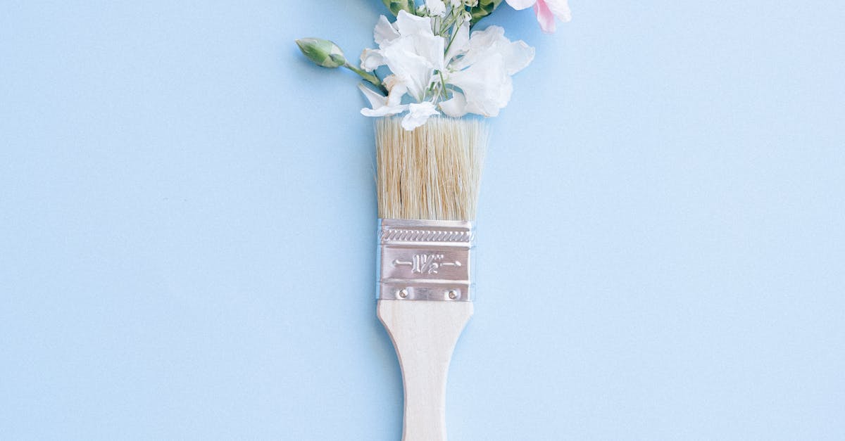 Designing a Low-Maintenance Landscape for Brisbane Homes