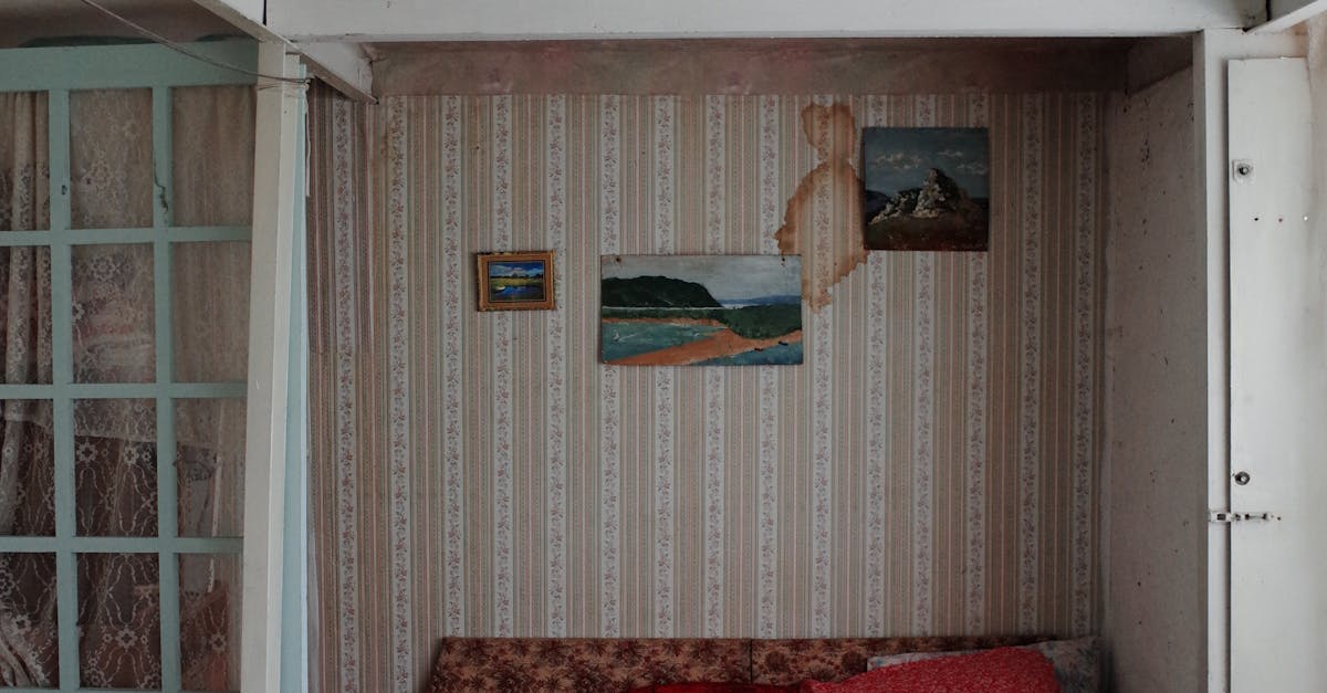 Maximising Small Outdoor Spaces with Creative Landscaping