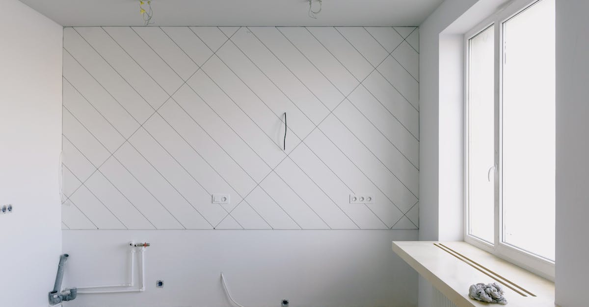 Sustainable Kitchen Cabinet Options: What You Need to Know